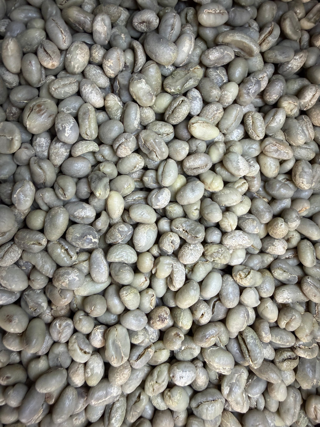 Zambia Kateshi Peaberry · Washed